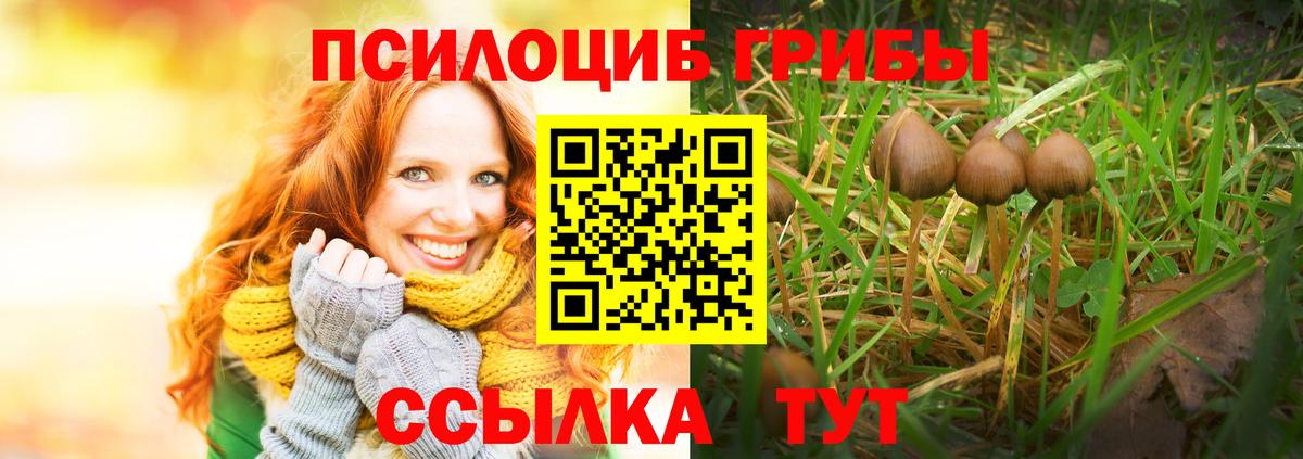 Галлюциногенные грибы MAGIC MUSHROOMS Малоярославец
